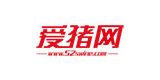 愛豬網